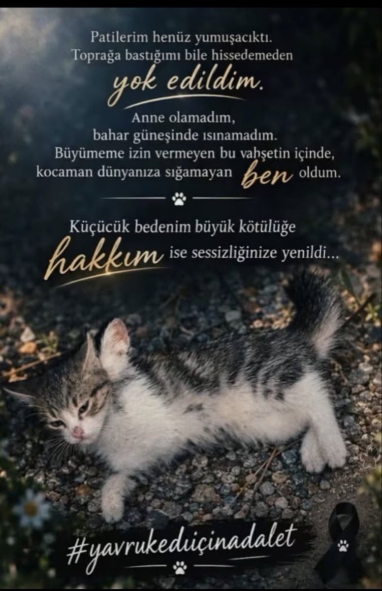 ebrualpay's tweet photo. Satın @TC_icisleri satın @EmniyetGM biz bu hayvana edilen eziyeti boy boy tüm sosyal medyalarda gördük. Güçlü bir istihbaratımız olduğunu biliyoruz. Bulunmamasının sebebi nedir?!? https://t.co/KFYcoat6SX
