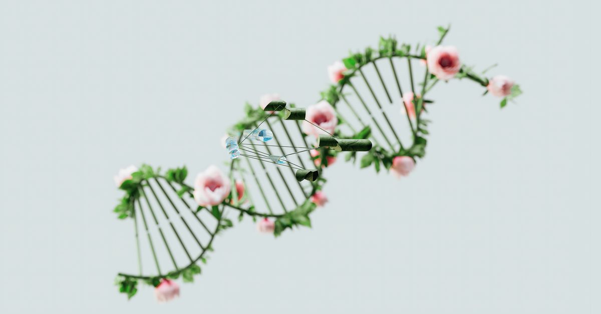 BioTech_Awards's tweet photo. CRISPR Gene Editing Creates Hypoallergenic Dogs - https://t.co/AZ8yPcZhIm

https://t.co/T8x0ftpjGw

#biotech #geneediting #genomeengineering #lifesciences #drugdevelopment #biomedical https://t.co/u2u77dt1ow