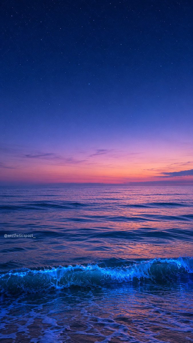 aestheticspost_'s tweet photo. https://t.co/XOKZ22skss