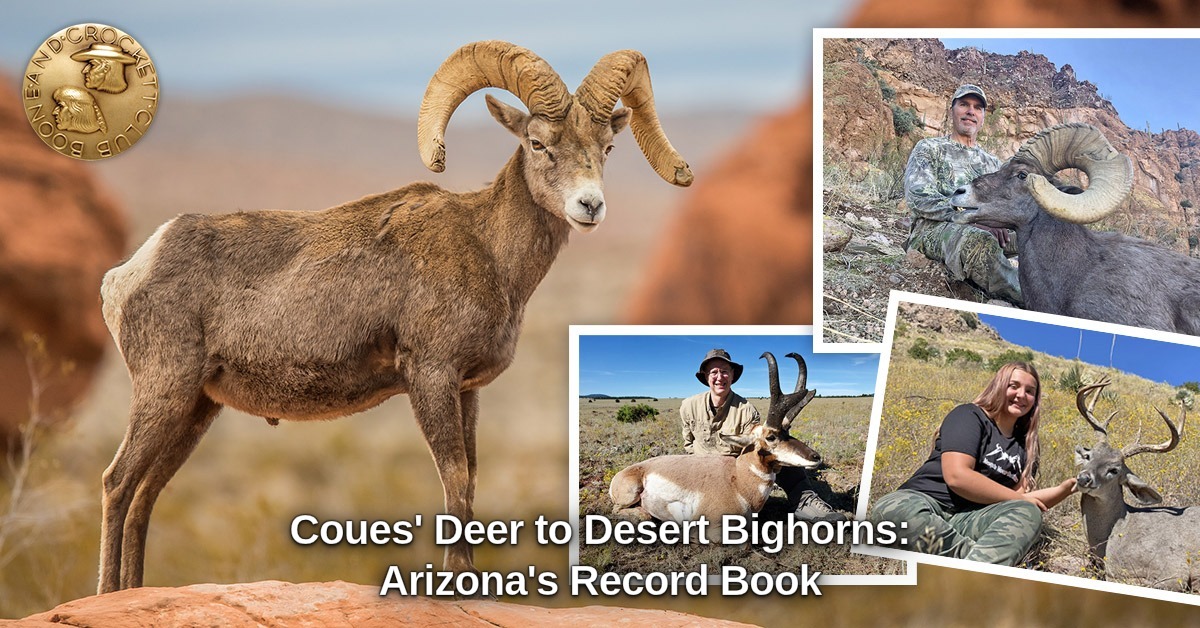 BC_Club1887's tweet photo. Coues' whitetail. Desert mule deer. Desert bighorn sheep. Arizona's record book reads like a hunter's bucket list. See which trophies put the Grand Canyon State on the map.
πβ£οΈ Link in bio.
#ArizonaHunting #CouesDeer https://t.co/bRo1KX90X0