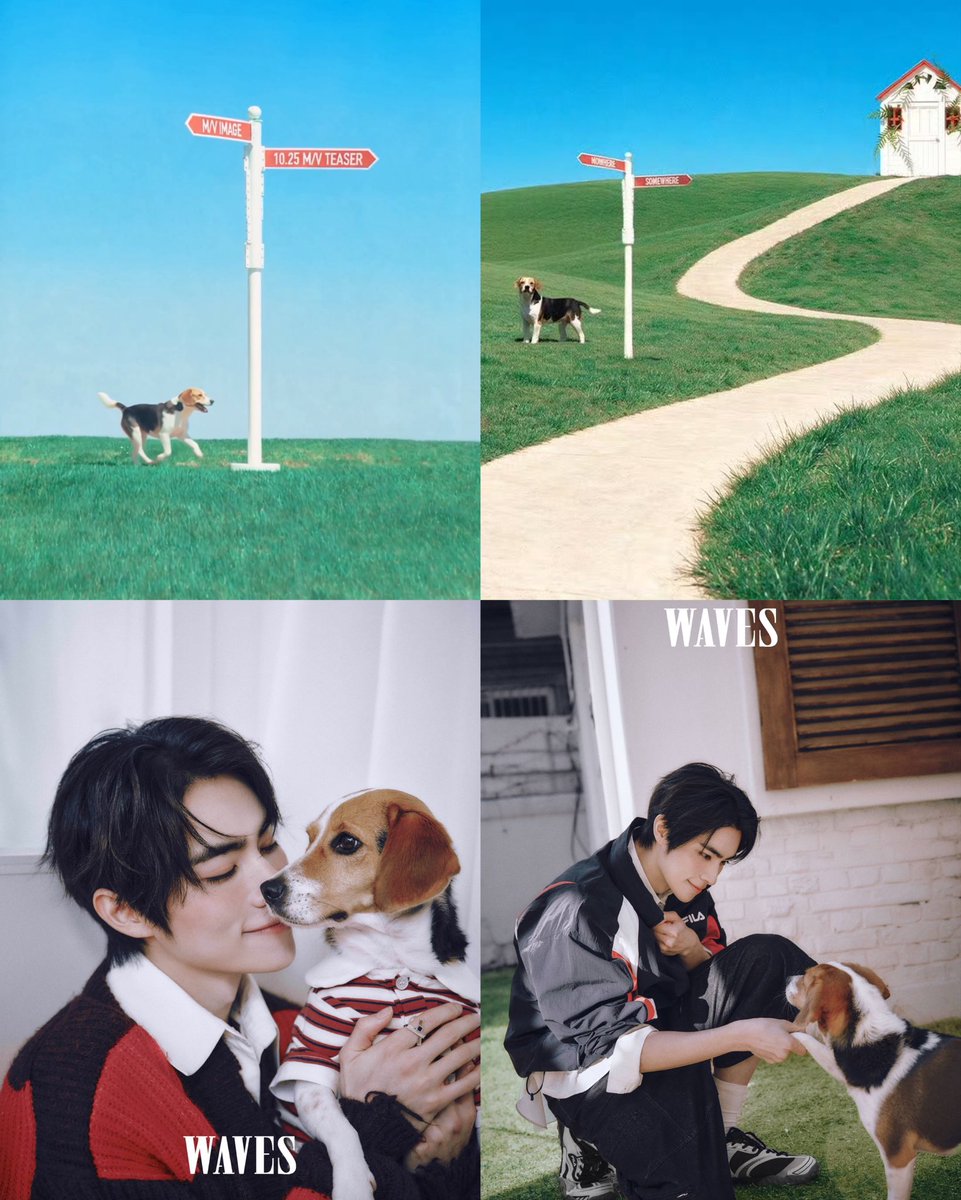xiaojun_xdj's tweet photo. When Xiaojun will always include Bella with whatever things he do 😭🐶 https://t.co/IgkcLKVumb