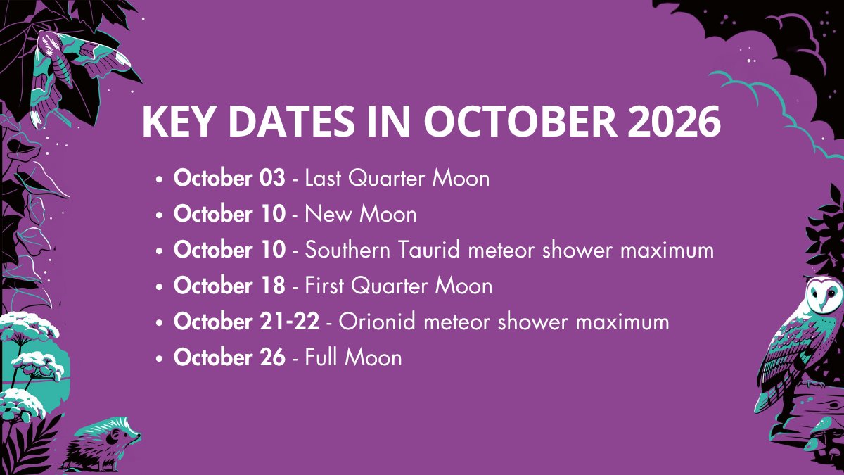 CollinsAstro's tweet photo. What’s happening in the night sky in #October?

Here are some key events to look out for from the Night Sky Almanac 2026. ✨

🏷️ SAVE 40% on #astronomy books with code ASTRONOMYWEEK2026 (valid until 10th October): https://t.co/Qoxoz6UYkx

#CollinsAstronomyWeek @WorldSpaceWeek https://t.co/tuKnP0L4vX