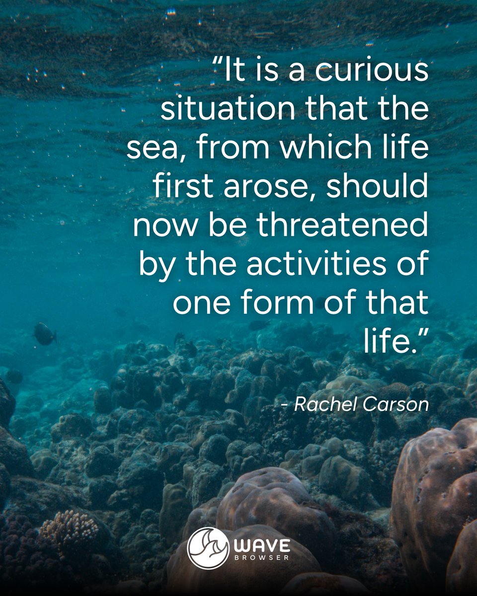 Wave_Browser's tweet photo. Written more than 60 years ago, and still the clearest case for why the ocean needs us. The same hands that created the problem can help fix it. 🌊

#WaveBrowser #RachelCarson #OceanQuotes #OceanConservation #ProtectOurOcean https://t.co/VL2TrGkFgI
