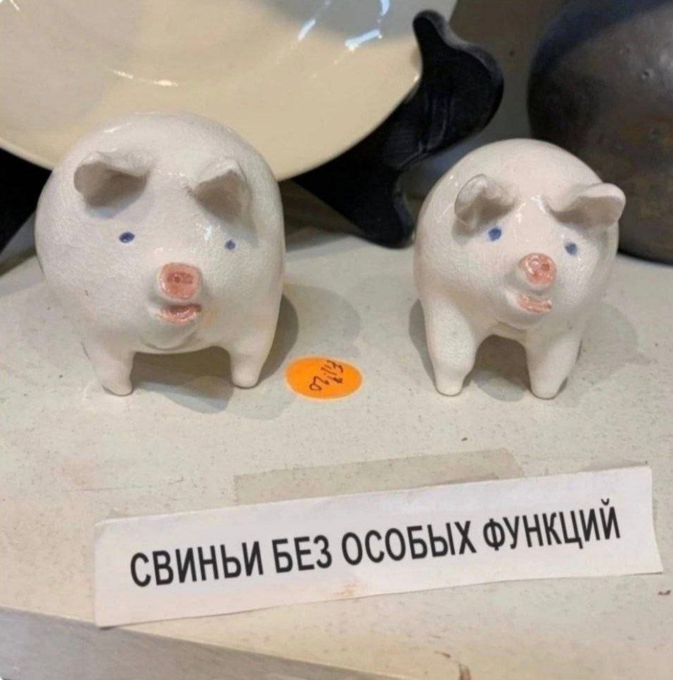 corruptedfields's tweet photo. Мы с Фомой в отпуске https://t.co/Cf3DuiIHnX