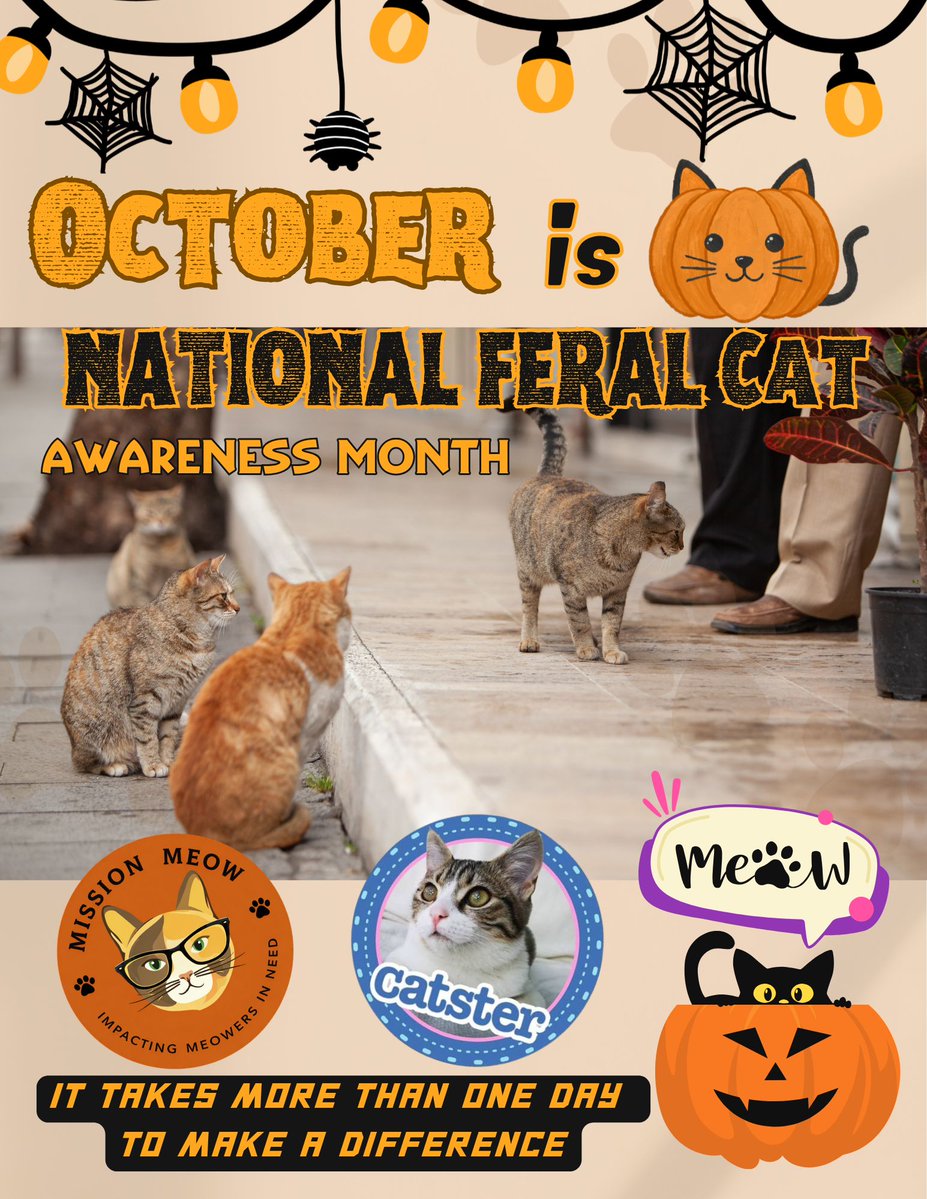 cprRescue's tweet photo. October is National Feral Cat Awareness Month! Celebrate all month by donating supplies or funds to help rehabilitate cats through CPR: https://t.co/Sldbb5otDP.
#savealife, #feralcatawareness, #donate, #supportcpr, #NationalFeralCatAwarenessMonth https://t.co/NvLKqyjEpB