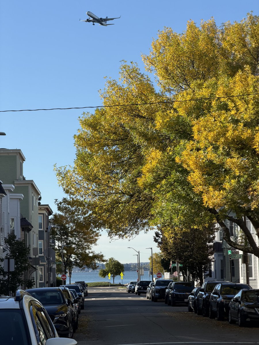 OnlyInBOS's tweet photo. What October in Southie looks like...

💛 https://t.co/Wz3oyLZdrg