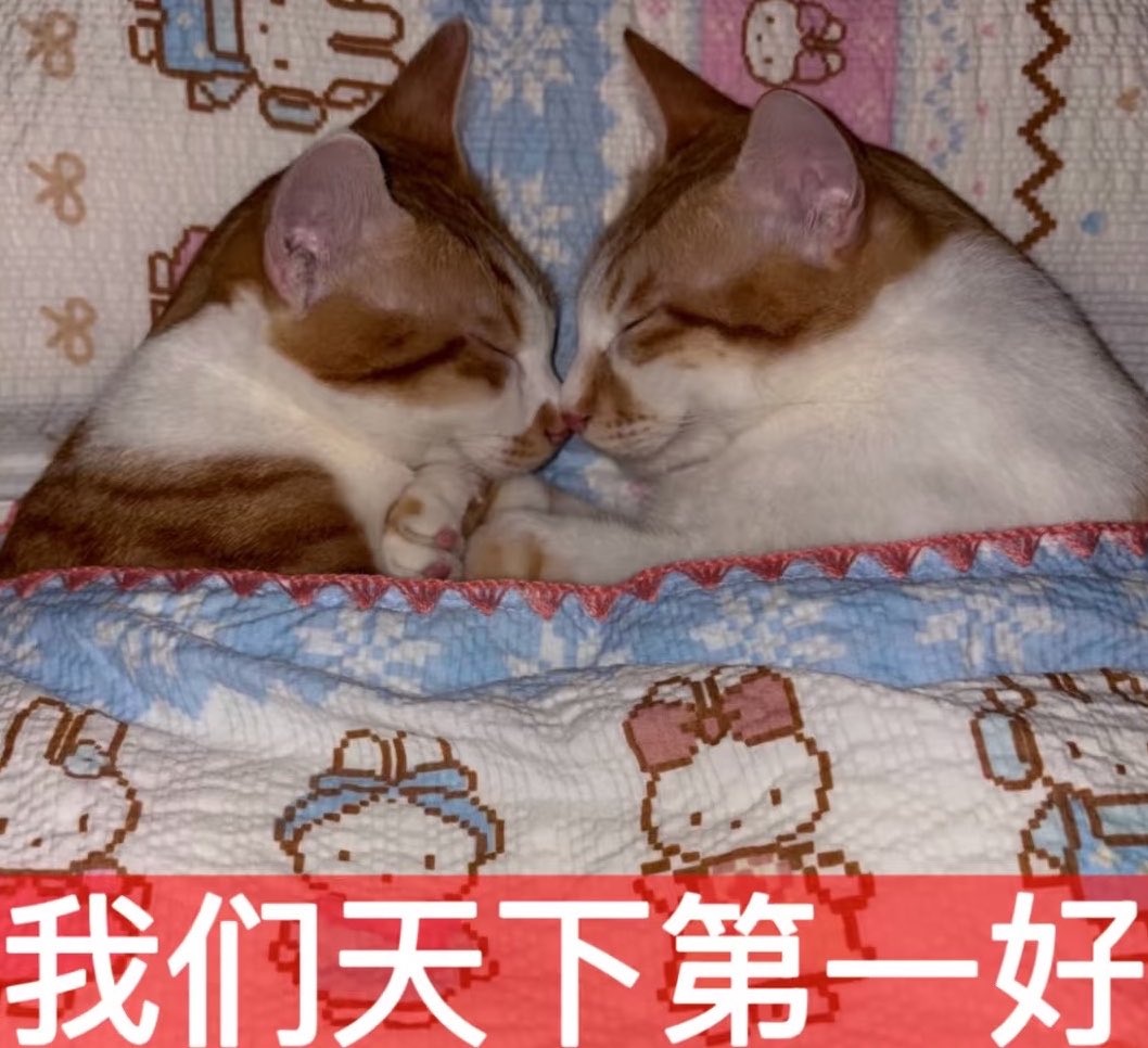 3ubyk0's tweet photo. 这是你和我. https://t.co/h6QxoCu2zK