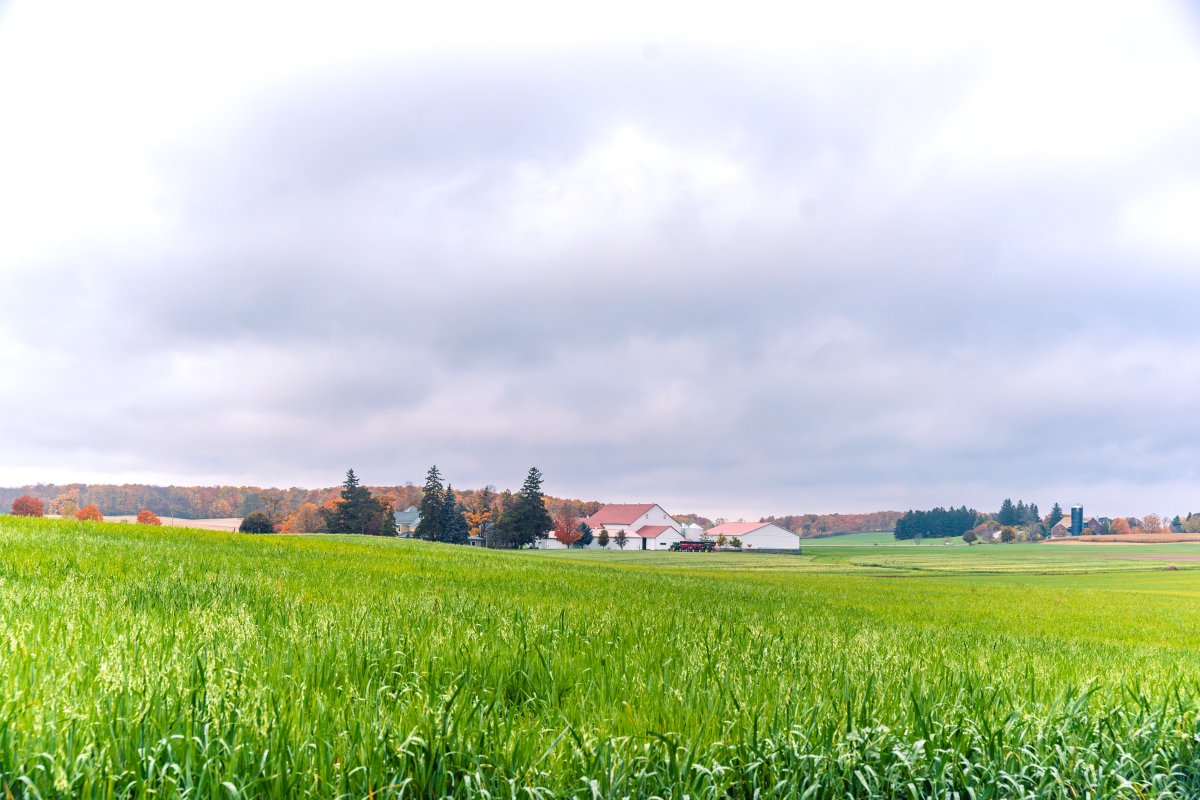 grandriverca's tweet photo. It is Ontario Agriculture Week.
The Grand River watershed is roughly 70 percent farmland.
Thank you to the farmers across the watershed for growing our food and for all you do to protect water quality!
#ONTAgWeek #OntAg #OntAgProud https://t.co/QN18ZnD89e