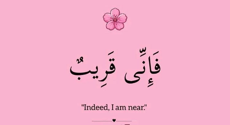 DRSAJAD58's tweet photo. Allah is near...🤍🌸 https://t.co/ZuHDs1G6wf