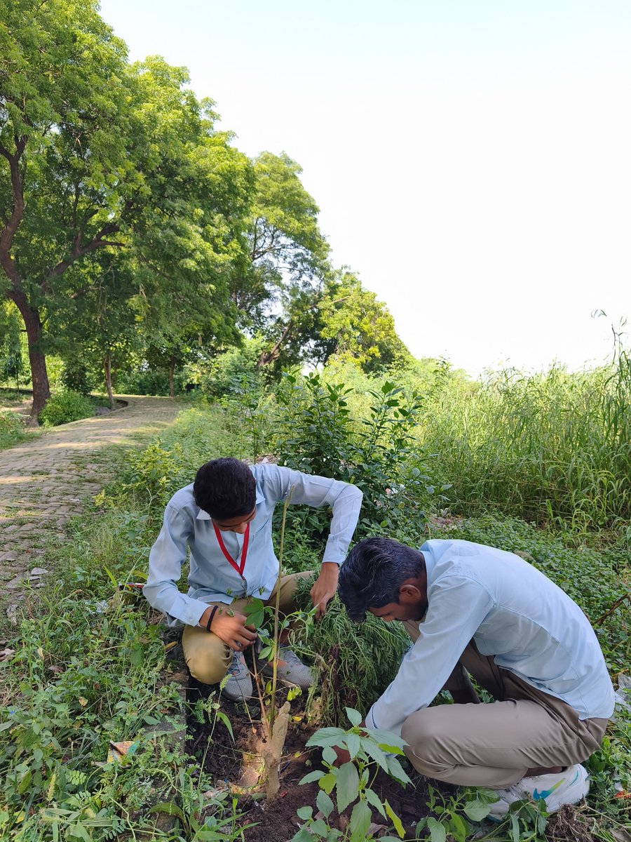 SVIC_Sahar's tweet photo. विद्यालय में गठित Vivekanand Eco Club के अन्तर्गत काम करने वाली टीम GenCAN द्वारा पौधा रोपित किया गया। धन्यवाद टीम। #svicsahar @CEEahmedabad https://t.co/feSoKAmtiG
