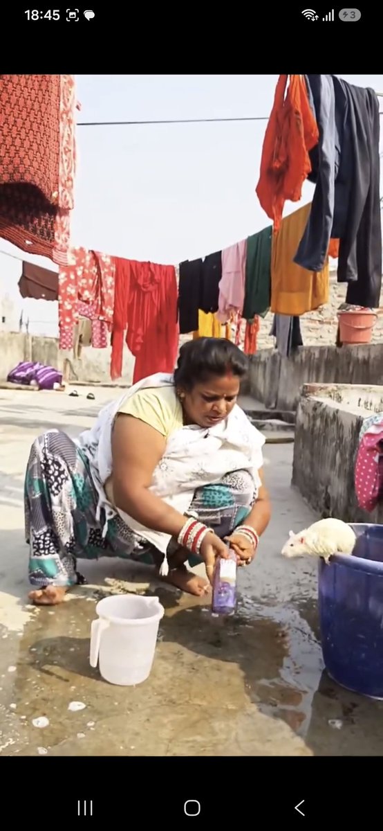 NiluferSabuncu's tweet photo. Hindu, rat hayvanının kutsal olduğuna inanıyor 

Üç doktor, biri milletvekili, köpek okşamanın kanser hastasında "iyileştirici etkisini" test ediyor (!). 

Hinduya saygı duyuyorum. https://t.co/r9p92SR5dy