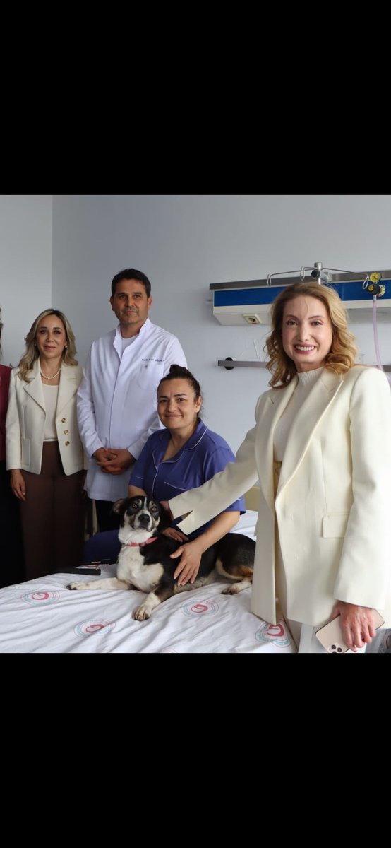 NiluferSabuncu's tweet photo. Hindu, rat hayvanının kutsal olduğuna inanıyor 

Üç doktor, biri milletvekili, köpek okşamanın kanser hastasında "iyileştirici etkisini" test ediyor (!). 

Hinduya saygı duyuyorum. https://t.co/r9p92SR5dy