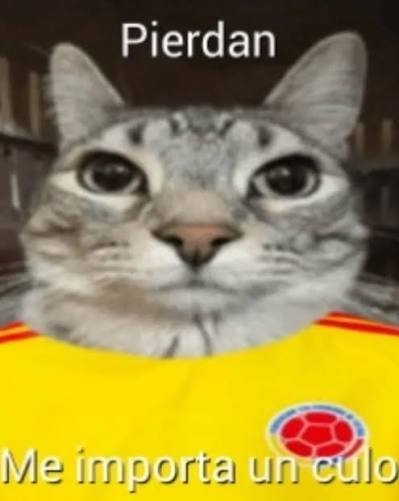 RiverCol912's tweet photo. Me mame de ustedes hijueputas https://t.co/LCmsRAVex1