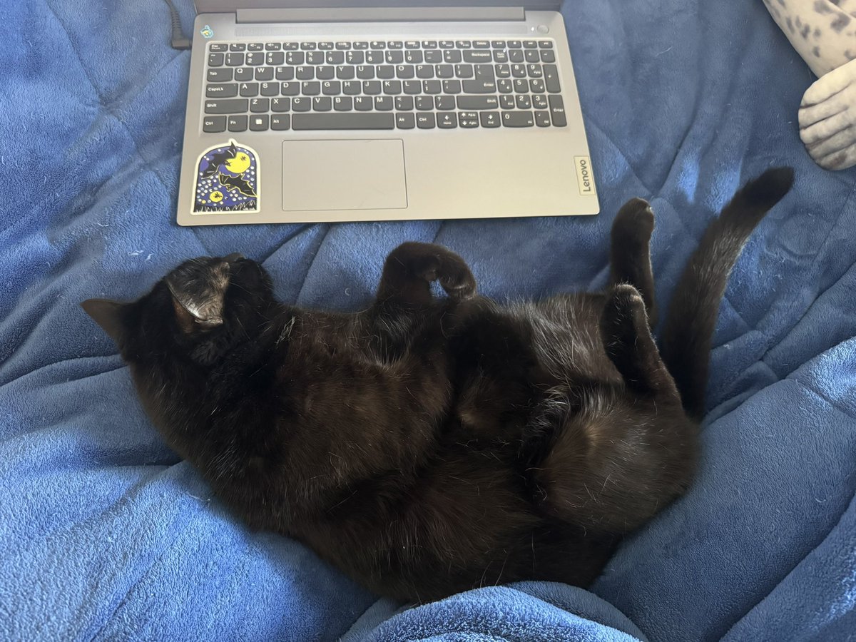 bythcranberries's tweet photo. this is who’s grading your lab reports people… emily is outsourcing https://t.co/4GLfIR4mFr