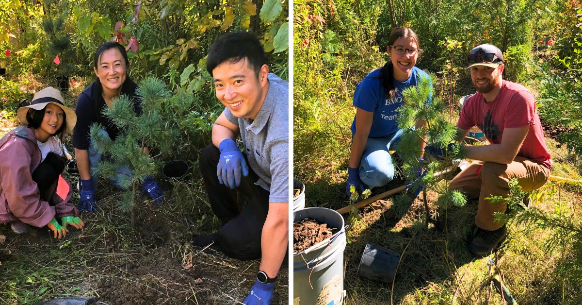 leaf's tweet photo. 🌳 What a great way to wrap up National Forest Week! Thank you to everyone who joined us at Meander Park in Richmond Hill and Fallingbrook Park in Whitby to plant native trees and shrubs.

Want to help out this fall! Sign up for an event near you: https://t.co/L8gxqBh9Z6 https://t.co/MVphPp3KRt