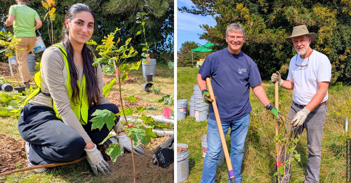leaf's tweet photo. 🌳 What a great way to wrap up National Forest Week! Thank you to everyone who joined us at Meander Park in Richmond Hill and Fallingbrook Park in Whitby to plant native trees and shrubs.

Want to help out this fall! Sign up for an event near you: https://t.co/L8gxqBh9Z6 https://t.co/MVphPp3KRt