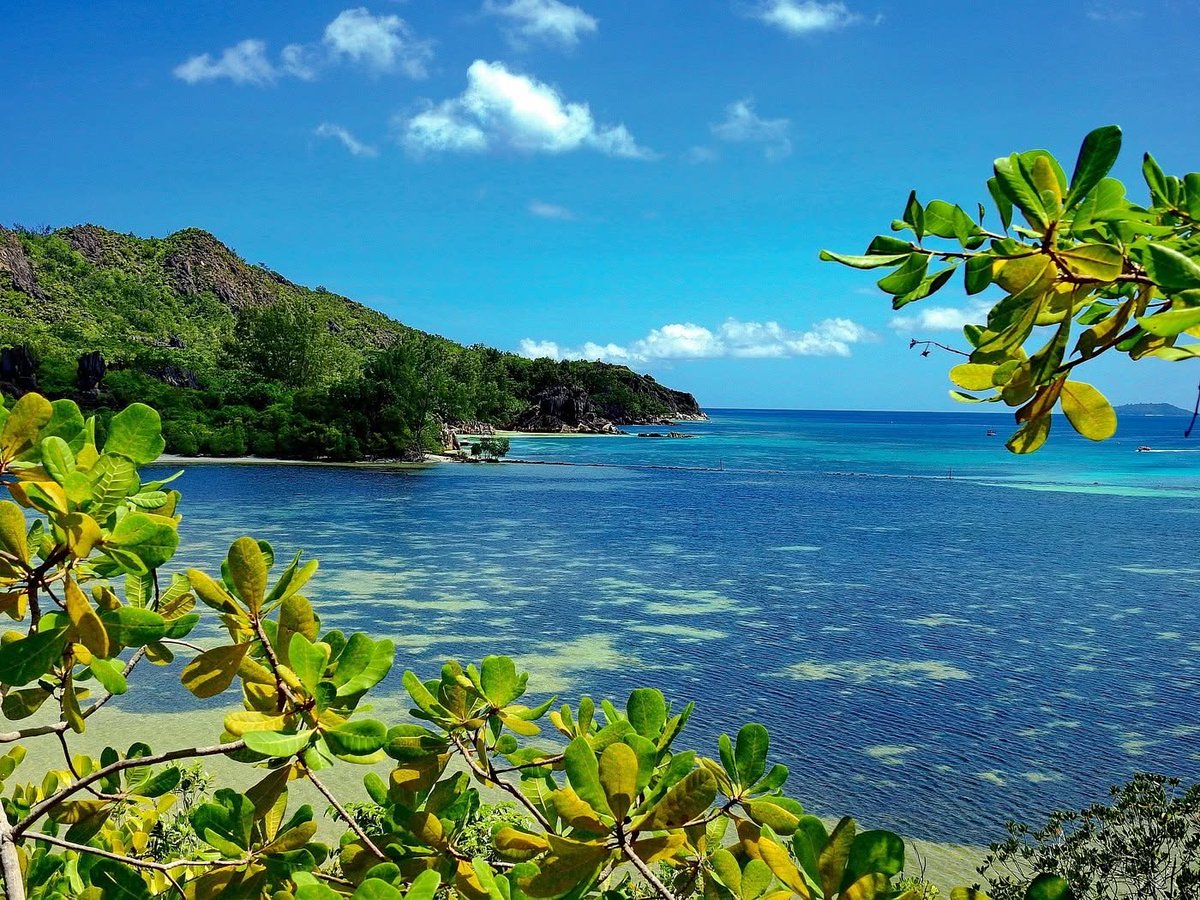ReneeMaxwes's tweet photo. Dreamy skies, peaceful waves, beautiful Seychelles. 💙🌅 #Seychelles #DreamDestination #Travel https://t.co/Q5SswxbsrA