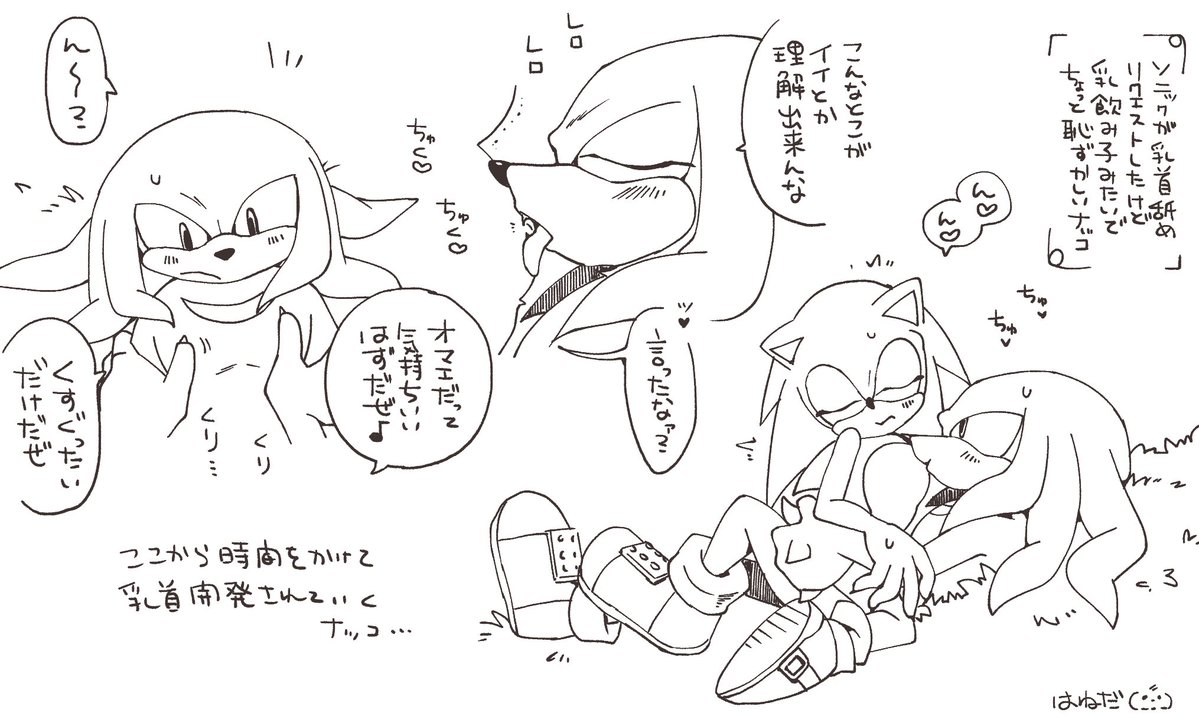 tecolemWBdog's tweet photo. ナコソニR18 #Knuxonic https://t.co/XYmUBt440t