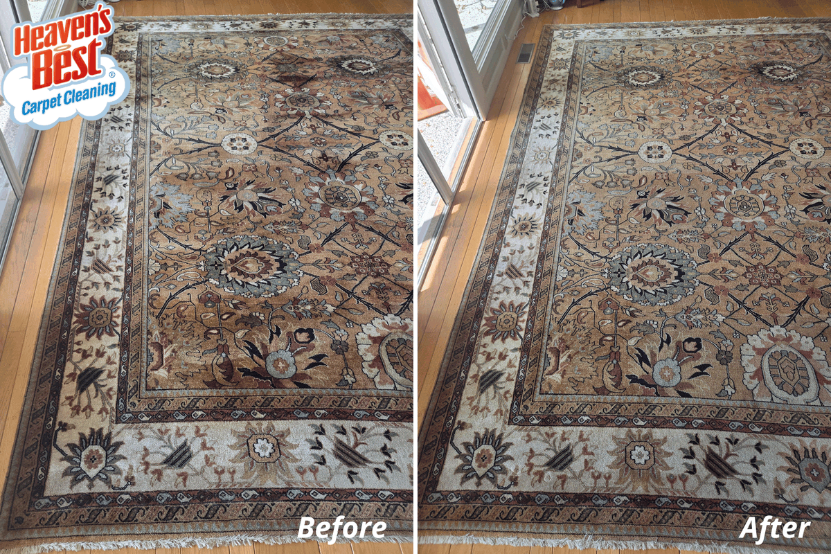 HeavenBestCO's tweet photo. Did you know? �� Not all rugs can be cleaned the same way. Here at Heaven's Best, we take great care to ensure that the method we use is well-matched to your own individual rug! ✨ Book your cleaning today!

(970) 626-4260 │ https://t.co/irI93UVXhl https://t.co/Mdur35cgaN