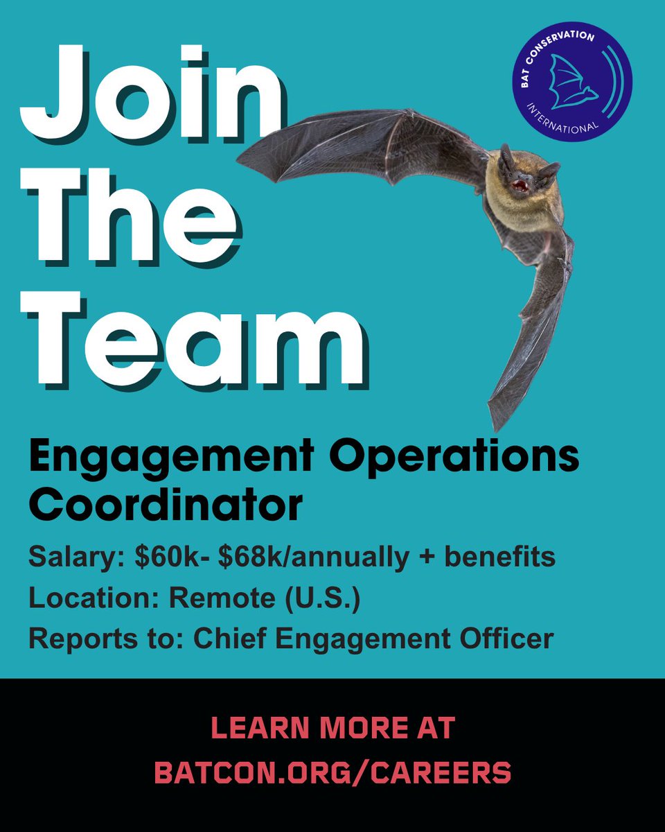 BatConIntl's tweet photo. We're hiring full-time and seasonal positions! 🦇 https://t.co/CoxXiSLSkE