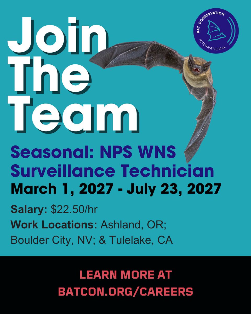 BatConIntl's tweet photo. We're hiring full-time and seasonal positions! 🦇 https://t.co/CoxXiSLSkE