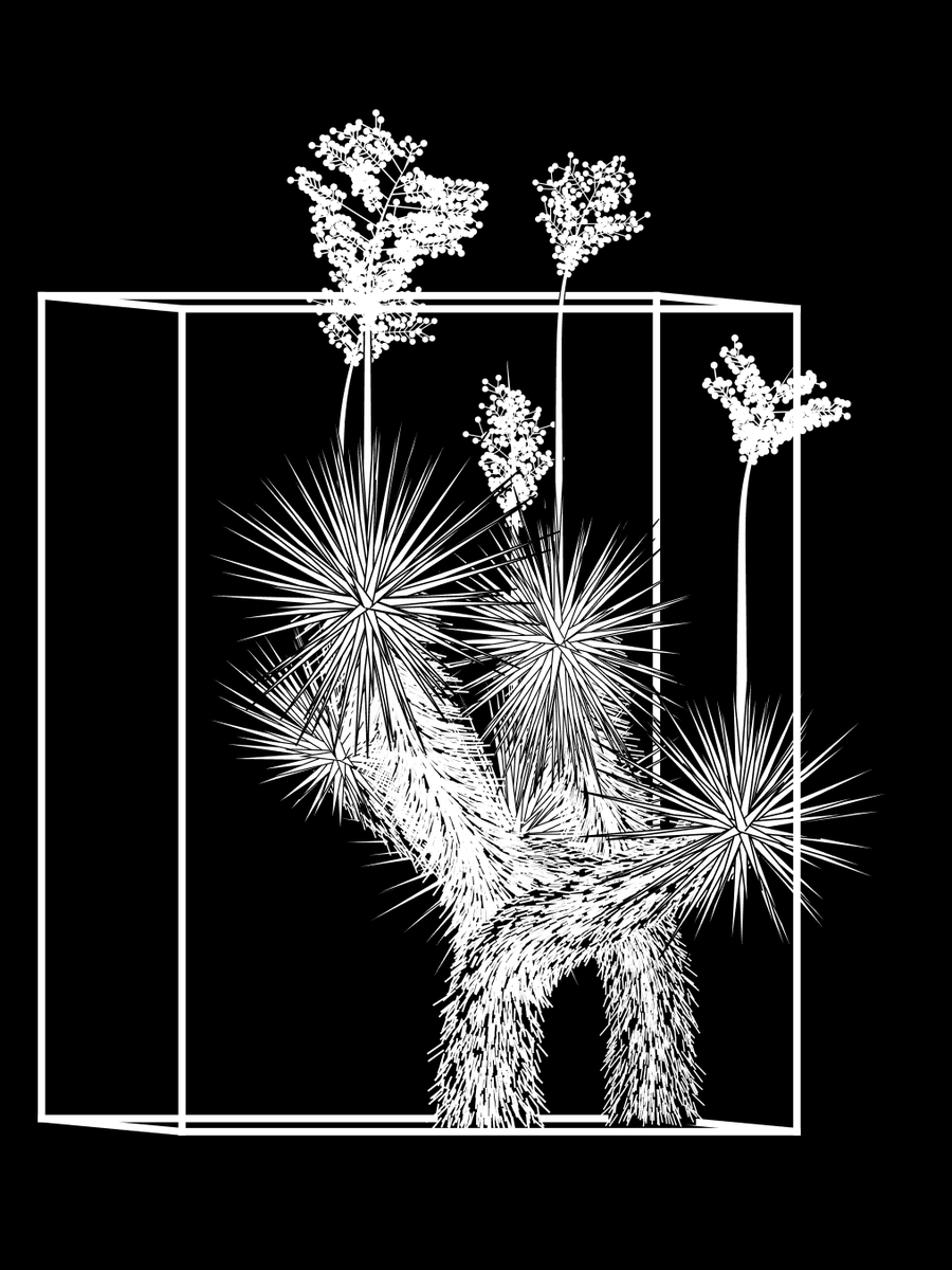 akasteveyyy's tweet photo. Almost 2 weeks til Art Blocks Weekend and Uptober is upon us, glorious 

Who am I seeing at Planet Marfa? Show yourselves! https://t.co/0tAoDM9e8n