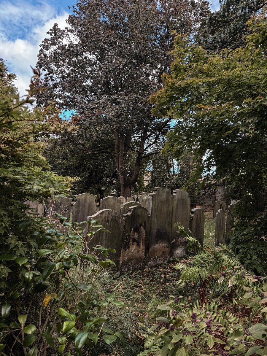 kerrixma's tweet photo. old churches, bookshops &amp; graveyards🤎 https://t.co/EPCVPCtLX6