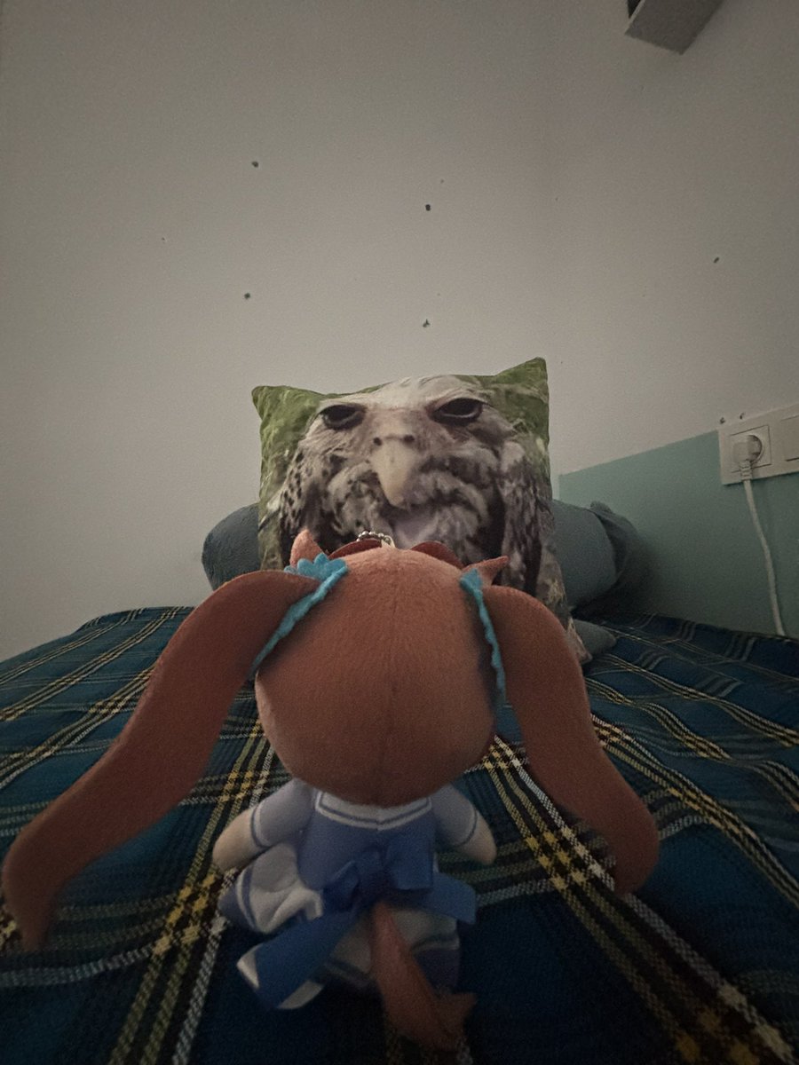 taikshuttle's tweet photo. // good luck little scarlet on defeating the Lamont https://t.co/QTGDqSW2rk