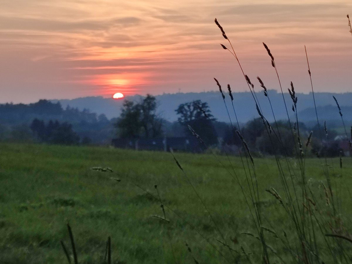 Kubicowy's tweet photo. Dzisiejszy... #nazadupiu #sunsetalert https://t.co/4Vf5UUgmVF