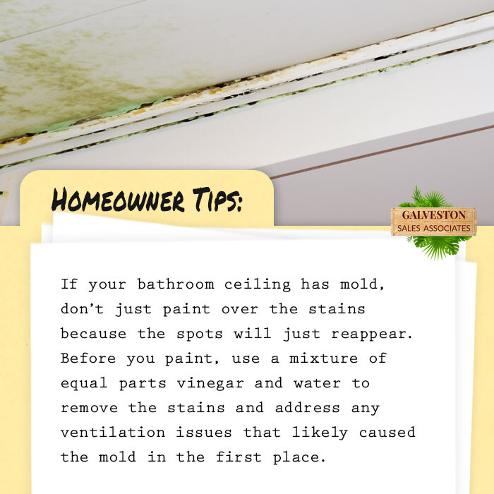 GalvestonSales's tweet photo. It's very important to determine the source of water damage, repair properly and remediate correctly. Some jobs may require the services of a pro. Never just cover it up. #HomeownerTip https://t.co/aahpFrPmuO
