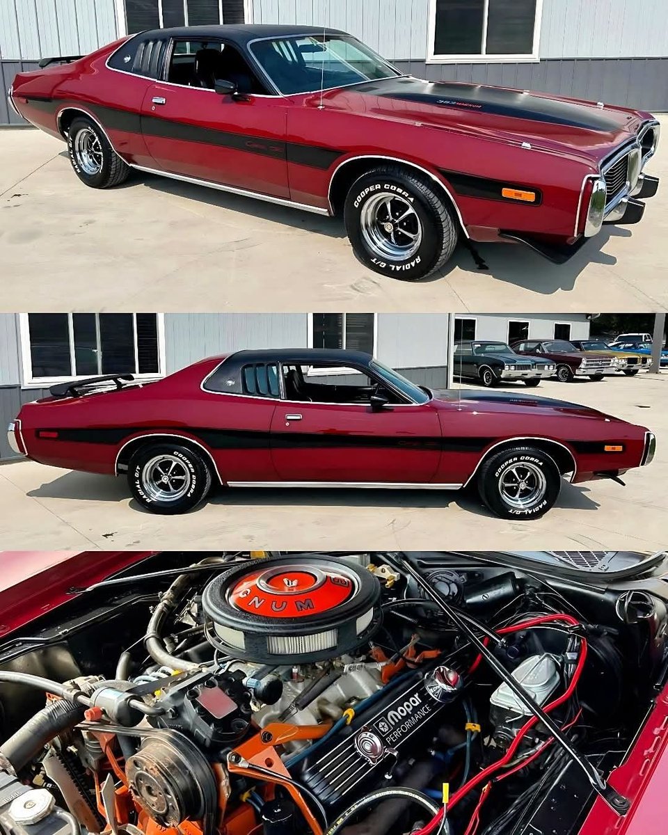 Sofia50020Sofia's tweet photo. Based on your experience, can you tell what year this Dodge Charger is from?

1. 69
2. 73
3. 56

No cheating allowed! https://t.co/PR1O8rlms6