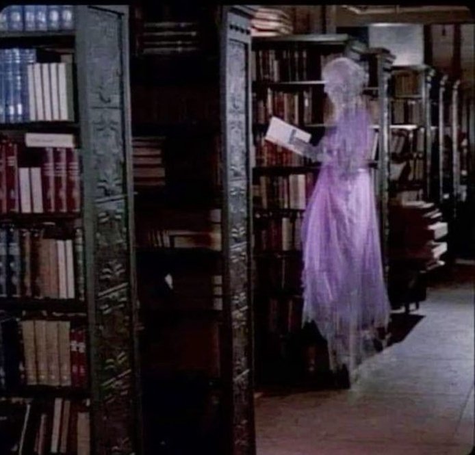 CaffeinatedLiha's tweet photo. POV: Me coming back as a ghost so I can just keep reading books I never got to. https://t.co/WHMMg4cbvw