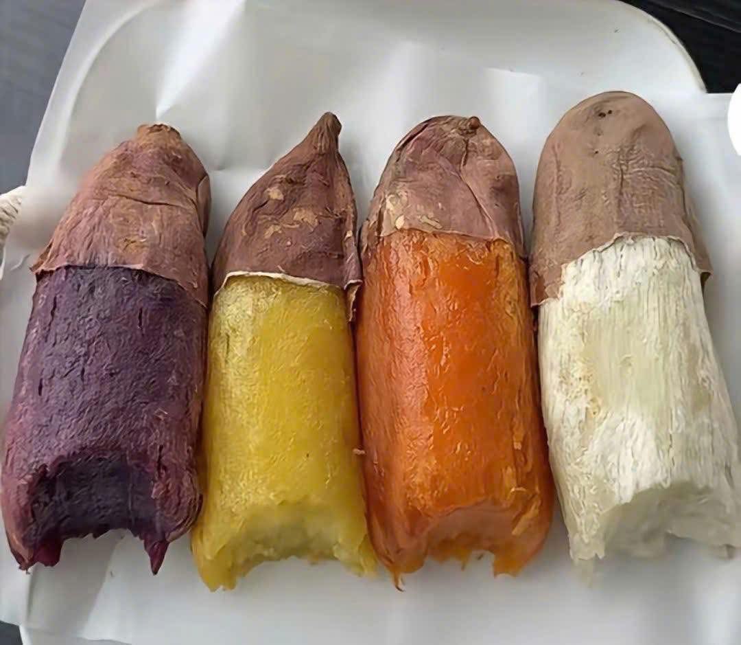 HanaTran86's tweet photo. Thứ 3 khoai luộc bốn màu: tím, vàng, cam, trắng. 🤤

Củ nào cũng dẻo, ngọt thanh, ăn nóng mới đã. Chọn khoai luộc màu nào thả màu bên dưới nhé. Màu nào ngon nhất nhỉ🤔👇

Chúc mọi người buổi ăn vui miệng 🍠💜
#khoailuoc #chonmau #thuba https://t.co/SpyuS9BoUQ