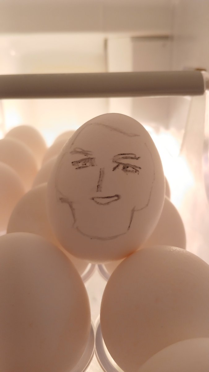 halogenGK's tweet photo. shiraishi egg https://t.co/u6IuV4zUPH