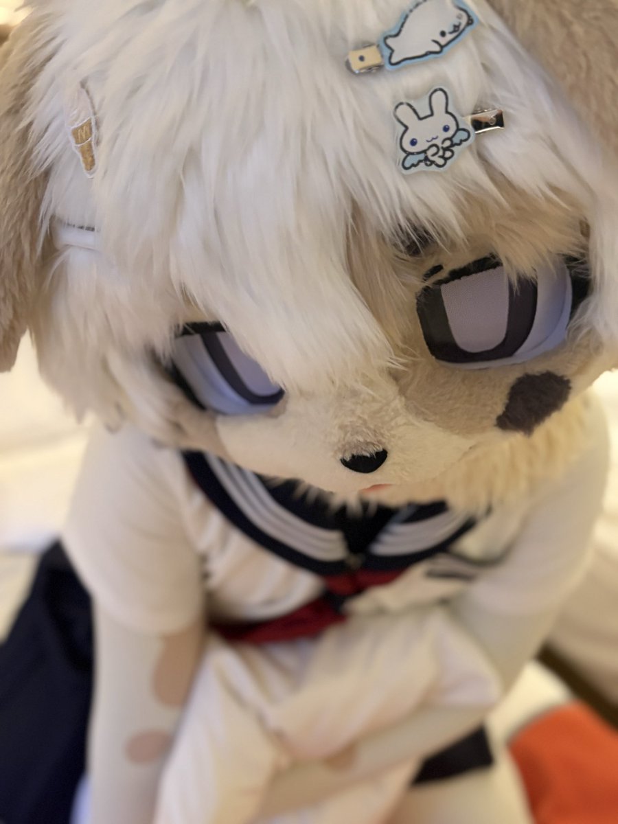 Alexyuwanwamchi's tweet photo. 🥴 #furry #femboy #fursuit https://t.co/kydaD2v6X8