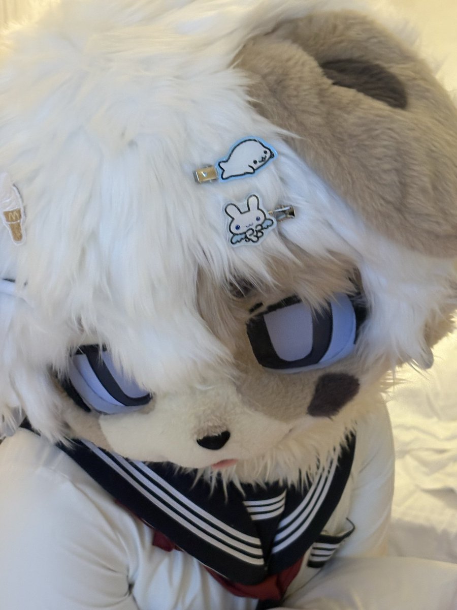 Alexyuwanwamchi's tweet photo. 🥴 #furry #femboy #fursuit https://t.co/kydaD2v6X8
