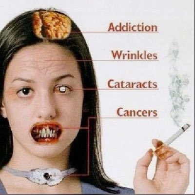 rottenpreachers's tweet photo. https://t.co/iQUjovftBy
