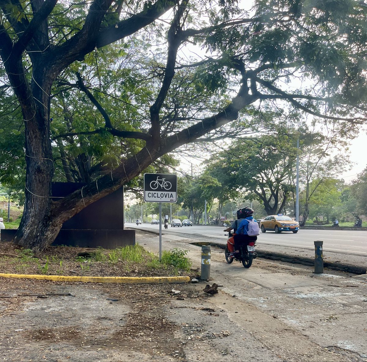 JeremyWadek9's tweet photo. Señores @ATMGuayaquil, @CTEcuador hasta cuándo permiten que la ciclovía que está en la vía a la costa sea usada por motorizados, ya han habido accidentes en la zona. Así como todos los días hacen batidas de lado y lado por favor, ayúdenos con esto. https://t.co/QCFDMK963P