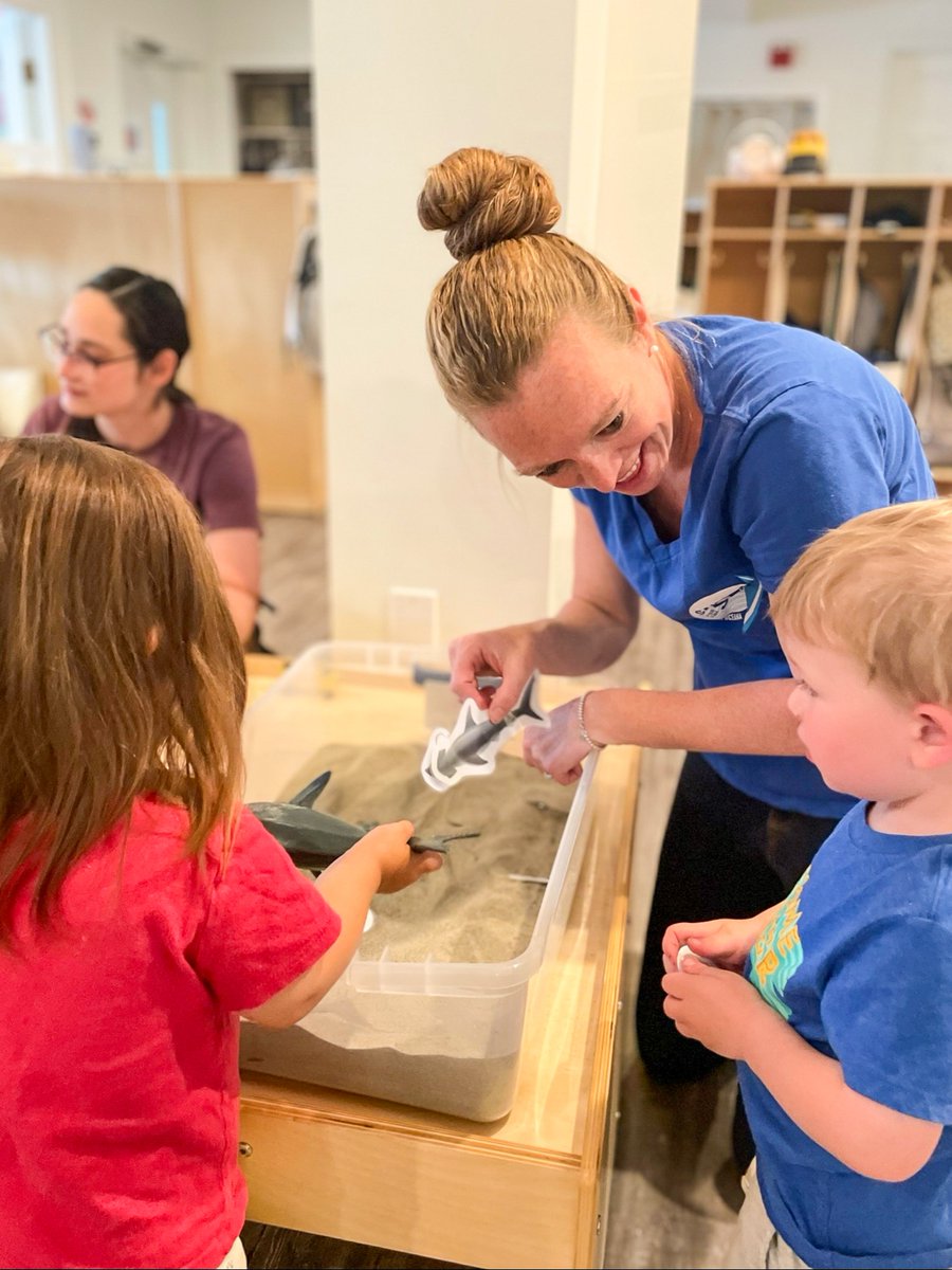 SailorsforSea's tweet photo. Happy #WorldTeachersDay! 🍎🌎💙

Educators inspire the next generation of ocean stewards. That's why we created #KELP (Kids Environmental Lesson Plans)—free, hands-on marine science activities designed for kids around the world!

Explore KELP: https://t.co/rYF4c0TSXP https://t.co/wsclz80bUF