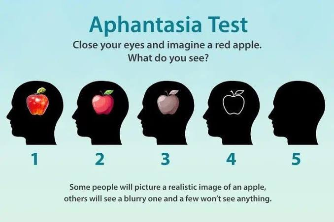 GingerCoderSham's tweet photo. @Stretchedwiener @FYI_Im_Vince @TheMG3D I am heavily convinced a lot of AI bros have full aphantasia
(the inability to see images in their mind) https://t.co/czo4j1NKgx
