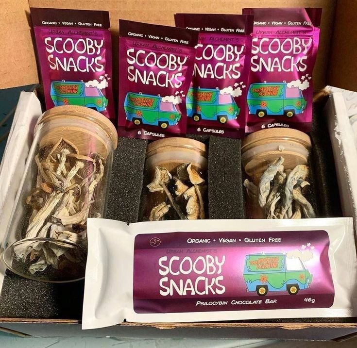 lamenmuyers's tweet photo. Scooby Snacks
#London #MANCHESTER #Liverpool #Glasgow #Birmingham #Bristol #Brighton #Belfast #Edinburgh #CARDIFF #Coventry #Wakefield #Plymouth #Newport #Bath #Hull #Warrington #Bournesmouth #Swansea #Luton #Middlebrough #Chester #Burnley #Livingston #Lancaster #Londonweed https://t.co/xCspRzxoGa
