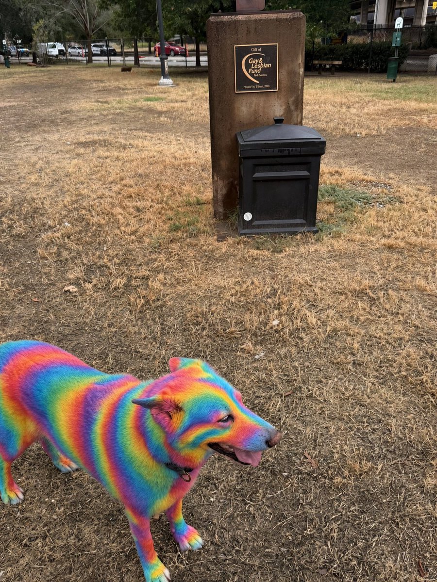 CryptoParadyme's tweet photo. @pissed dog is an ally https://t.co/GKEmdfwc6R