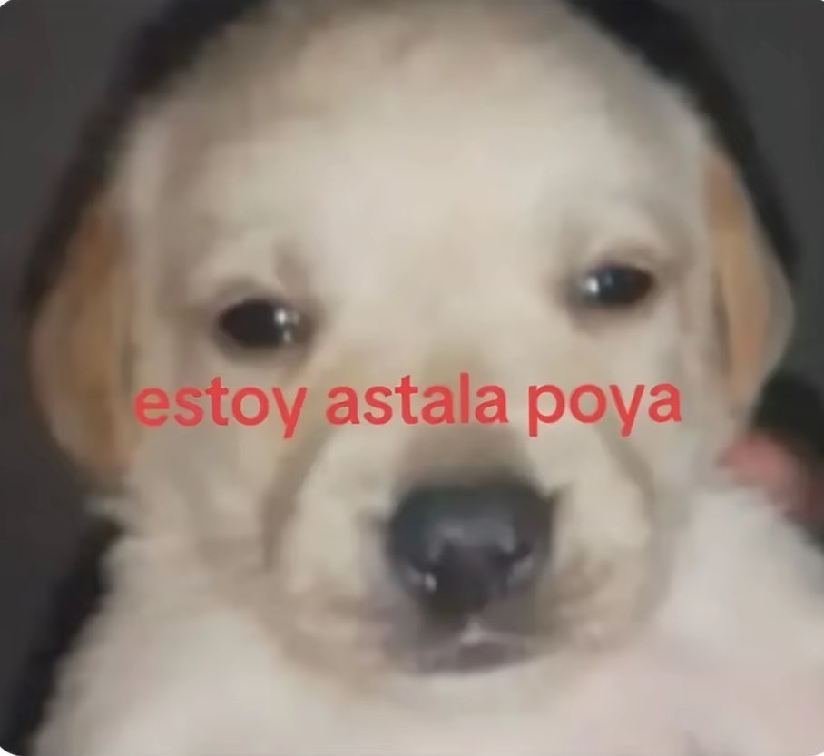 dracunini's tweet photo. Esa gente del pasado que vuelve cada tanto https://t.co/xaszI4QfwB