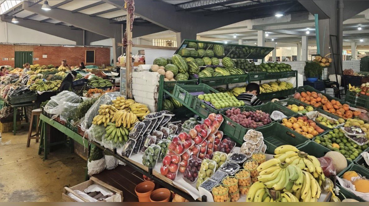 UNIAGRARIA's tweet photo. 🍓Curso gratuito de pre y poscosecha para fortalecer las capacidades del sector agropecuario
Ñ Lee el artículo de Boyacá 7 Días aquí Curso gratuito de pre y poscosecha para fortalecer las capacidades del sector agropecuario – Boyacá 7 Días https://t.co/E7Blhmy8de https://t.co/KzAA7FWESS