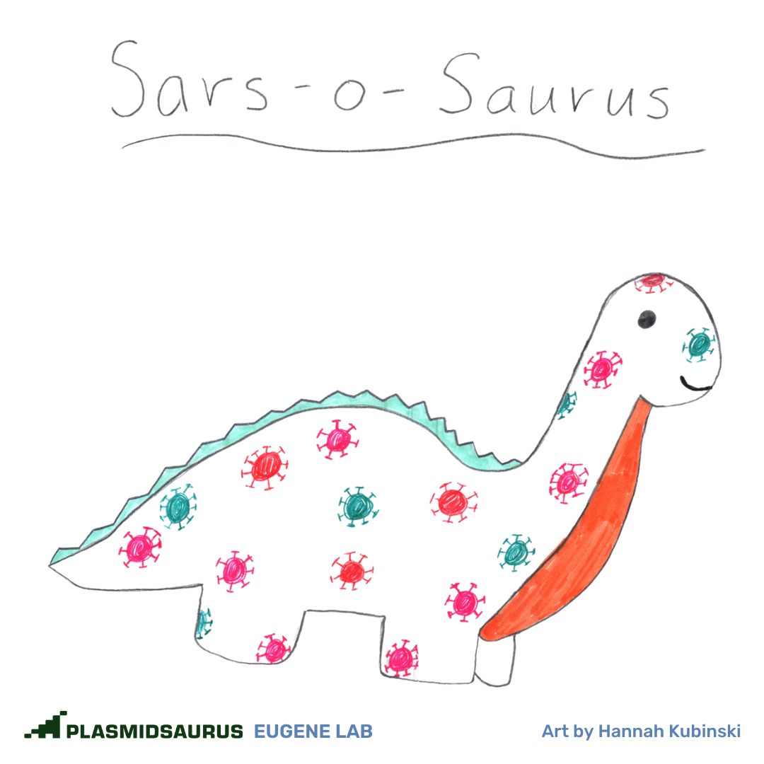 plasmidsaurus's tweet photo. More dinosaur species to add to the encyclopedia 🦕 https://t.co/Bdpmgxmqex