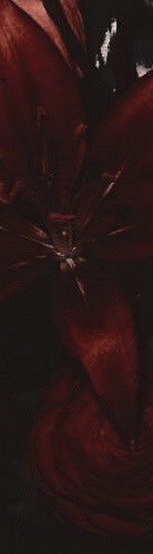 namesadaw's tweet photo. ⠀⠀芭蕾舞 ⠀ ⠀ ⠀꒰ ཐིཋྀ ꒱ ࣪𓂂 ׅ  ⠀ ͏  ⠀㊅*ིྀ.  ⠀请❀⠀ ⠀

                    ּ   ִ  ۫    ּ     ֗ ִ    ☁️    𝐴 𝑁 𝐺 𝐸 𝐿   𖦹⠀  
                 ɯıth  the 𝐠𝐮𝐧  ın  ʏour  𝓱ɑnd  .ᐟ
⠀⠀
⠀ https://t.co/U6Z2zahK6T