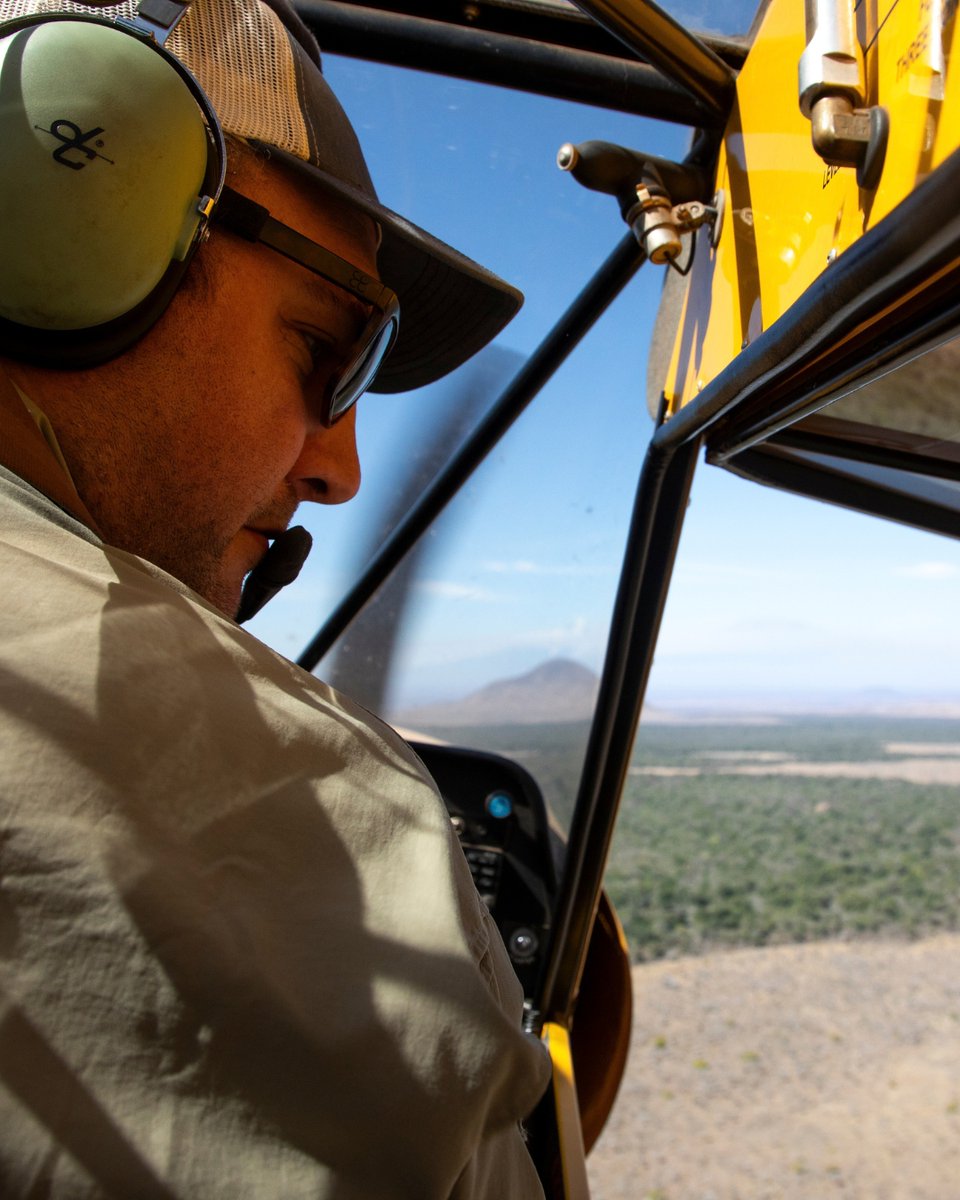 biglifeafrica's tweet photo. HERD FROM ABOVE
A view from the sky helps Big Life monitor Mbirikani’s elephants. Aerial patrols and tracking data guide ranger efforts to protect wildlife, habitat, and local communities.
https://t.co/vRwYgRkdqm https://t.co/klQW2JFlc9