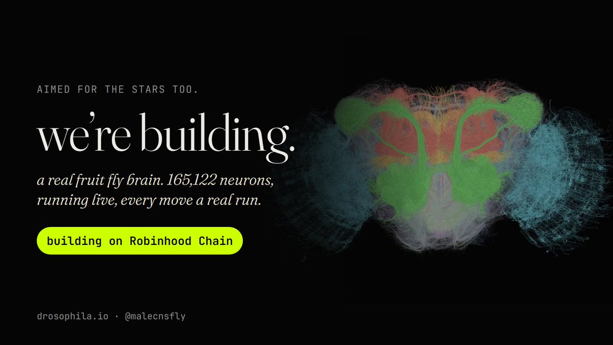 malecnsfly's tweet photo. @RobinhoodApp aimed for the stars too. we're building: a real fruit fly brain, 165,122 neurons, running live. every move is a real run.
#SI #Robinhood #drosophila https://t.co/rtQ71Ie4K8
