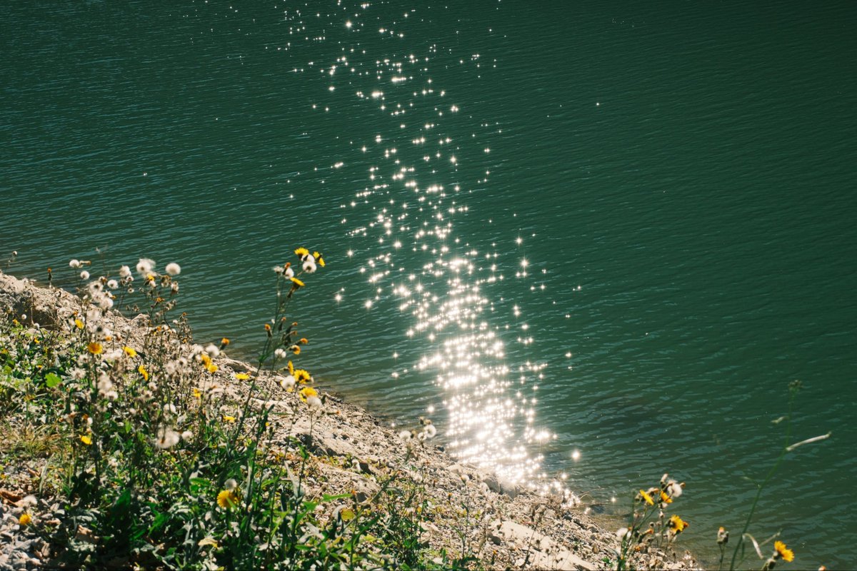 ysrxaaa's tweet photo. sparkles on the water https://t.co/44y9w3XwXK