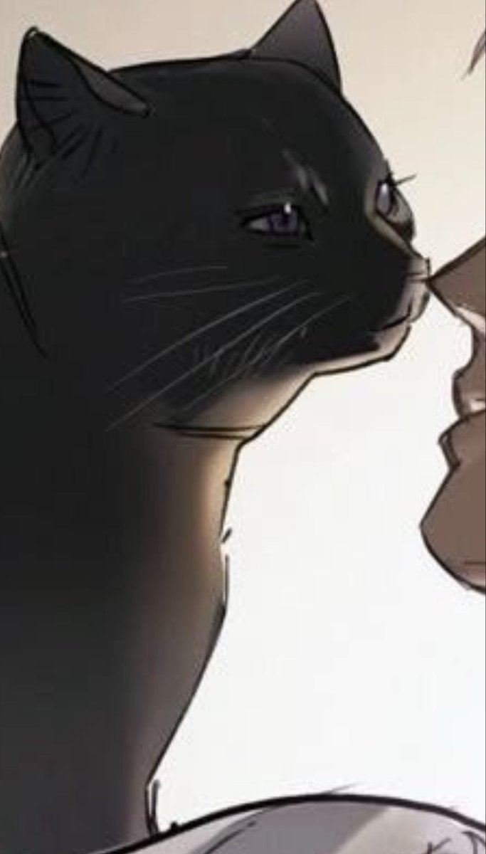Beawaryi's tweet photo. Obvious detail in #wetsand but I am slow : not the cat’s eyes being purple https://t.co/XsMPPjAzCe